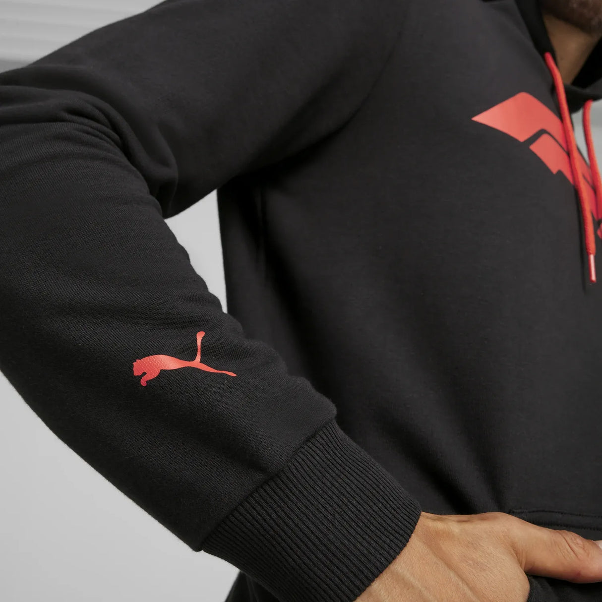 Formel 1 ESS Logo Hoodie 🔥