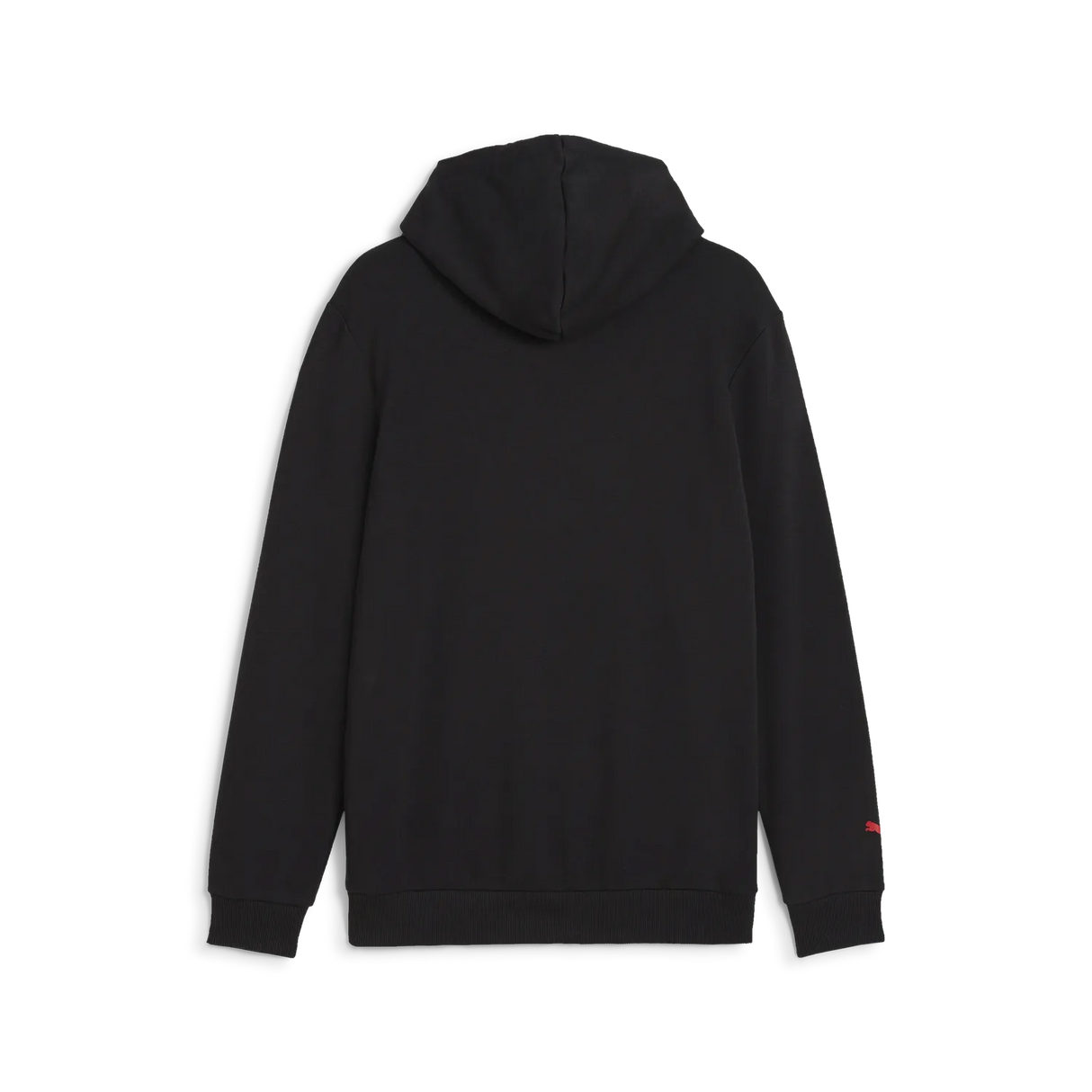 Formel 1 ESS Logo Hoodie 🔥