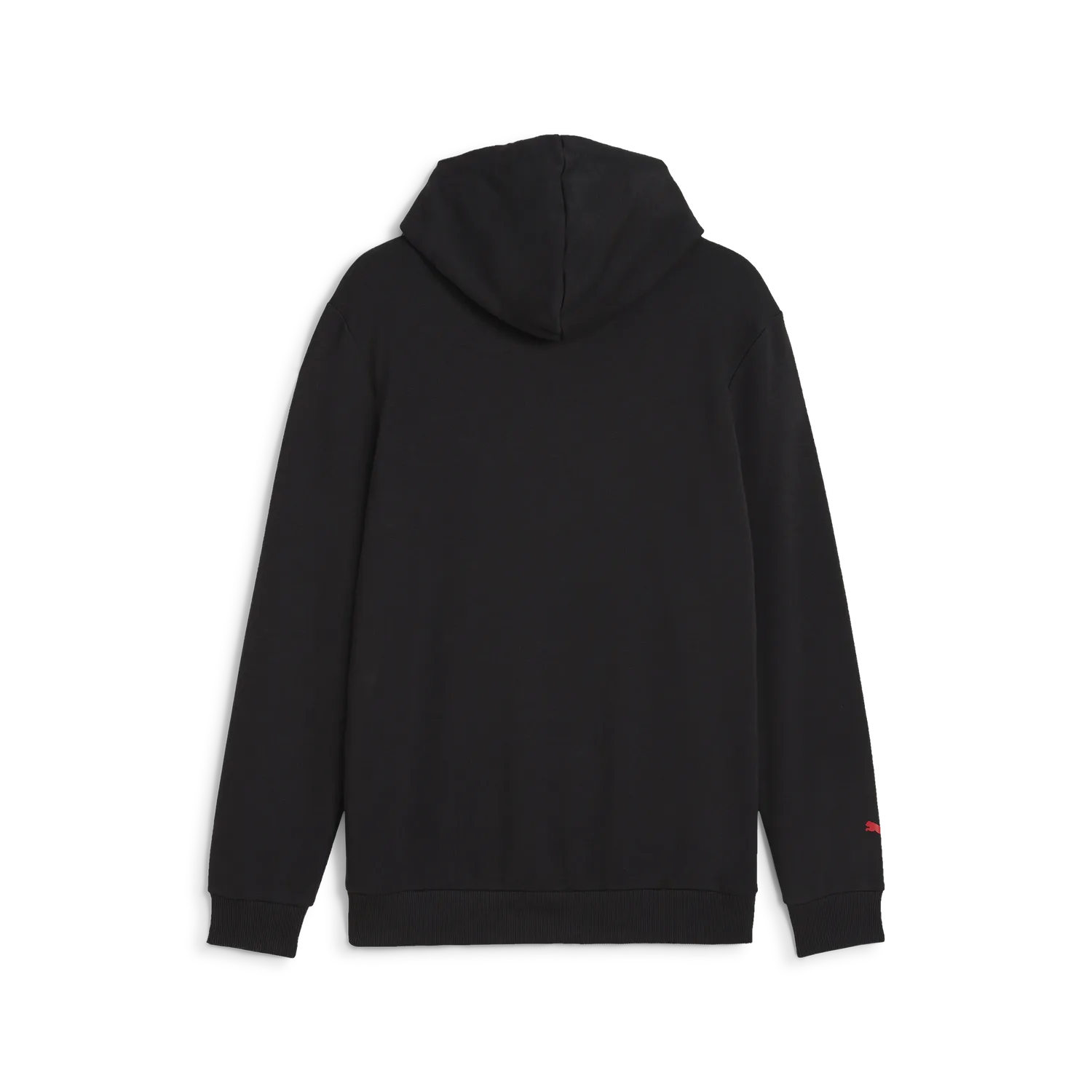 Formel 1 ESS Logo Hoodie 🔥