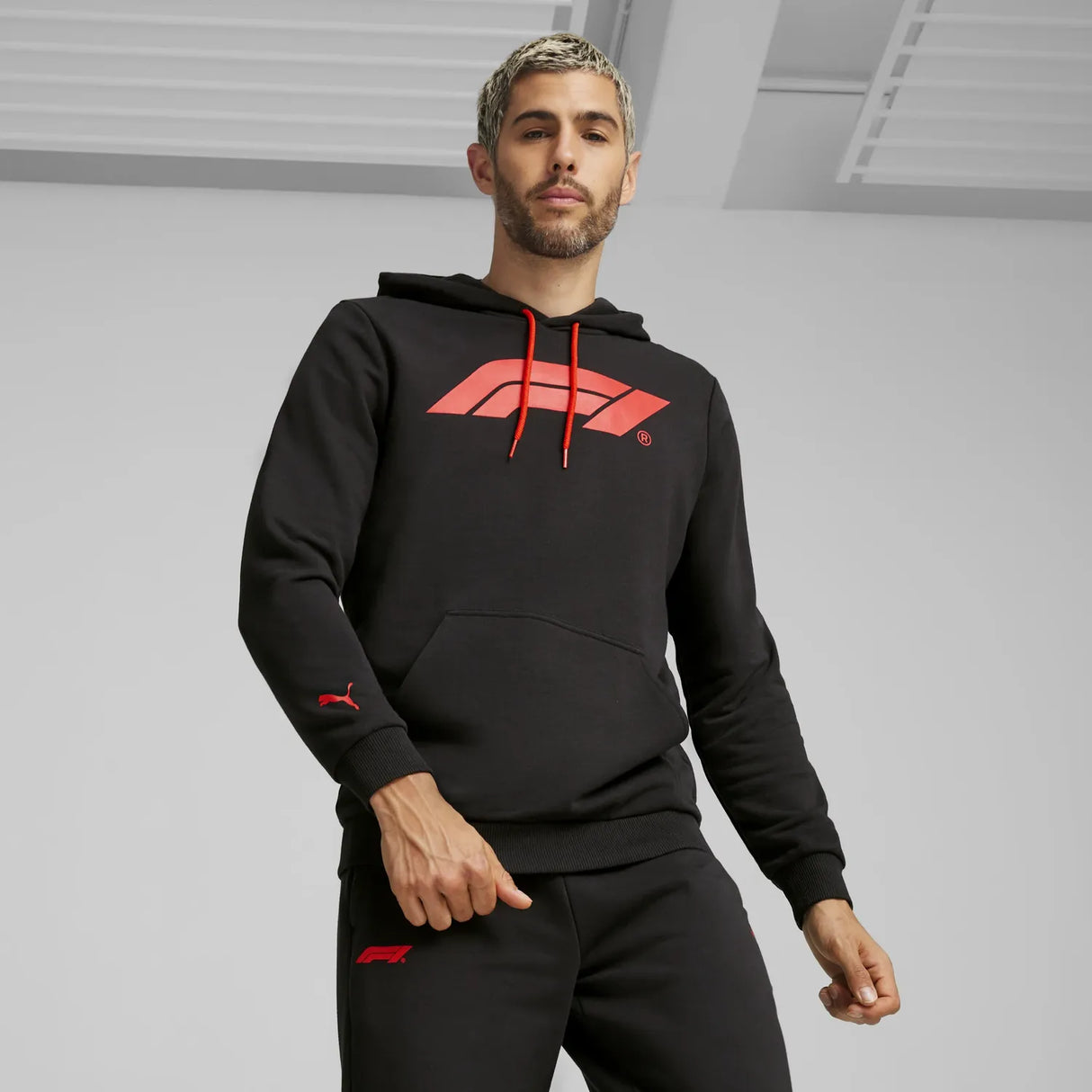 Formel 1 ESS Logo Hoodie 🔥