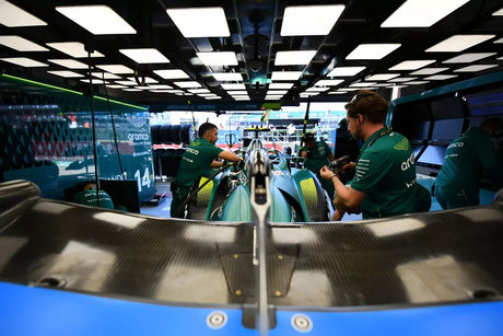 Alonso i inni z karami przesunięcia na start