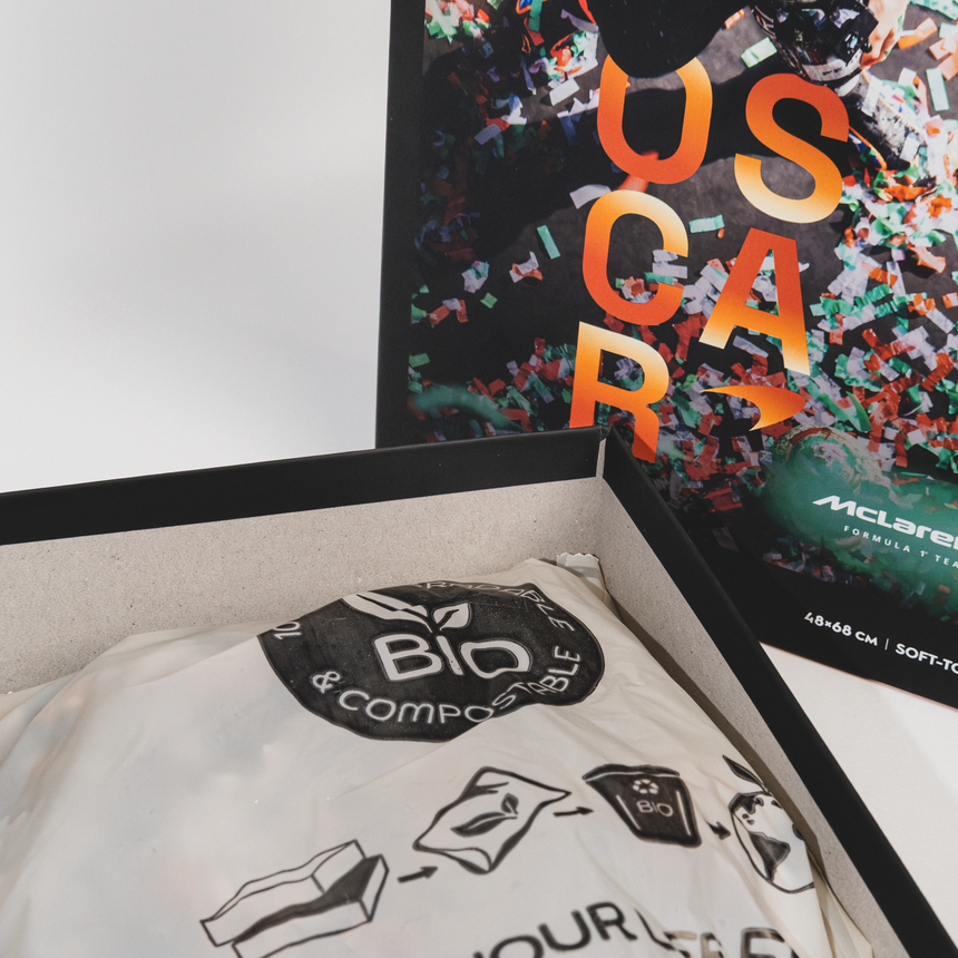 Zestaw puzzli McLaren Formula 1® Team, Oscar Piastri, pierwsze zwycięstwo w Grand Prix, 1000 elementów