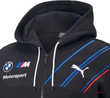 Puma BMW Team sweatshirt, anthracite, 2022